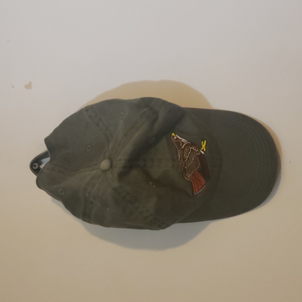 ECO reptileshirts.com Embroidered Hawk Baseball Hat